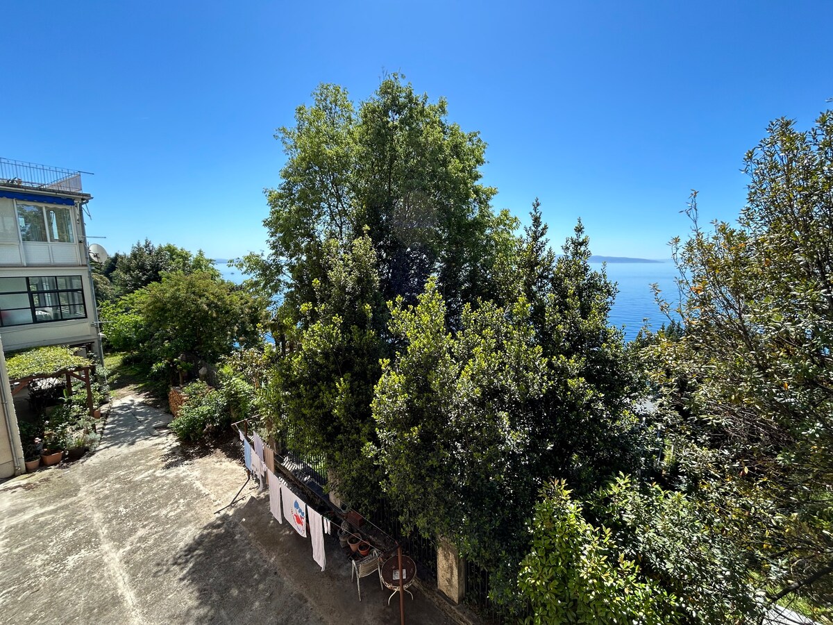 Exterior 5